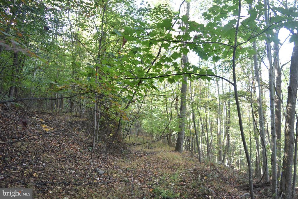 2083 CLAY PITS LANE