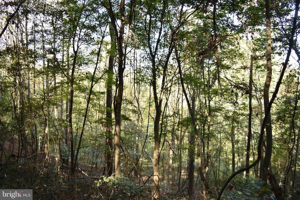 2083 CLAY PITS LANE
