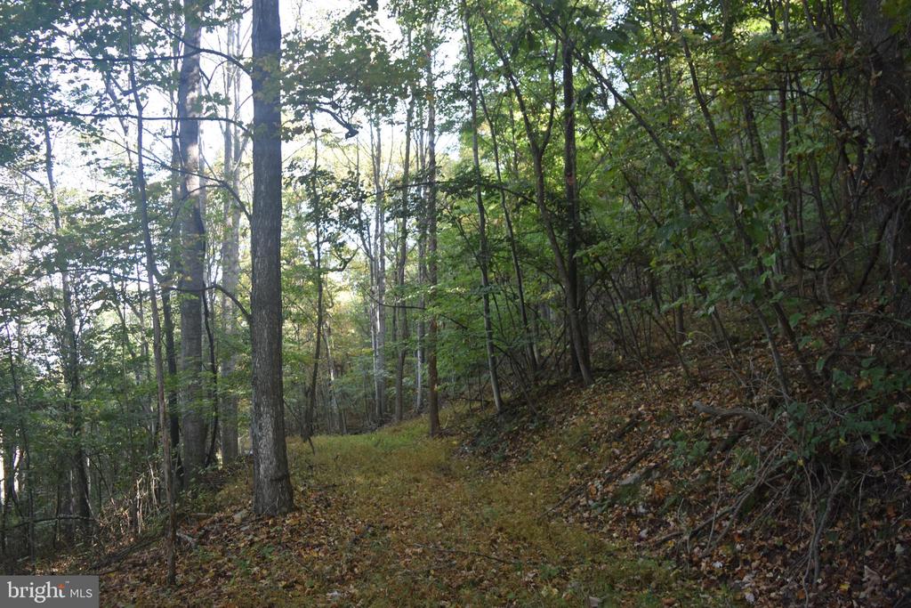 2083 CLAY PITS LANE