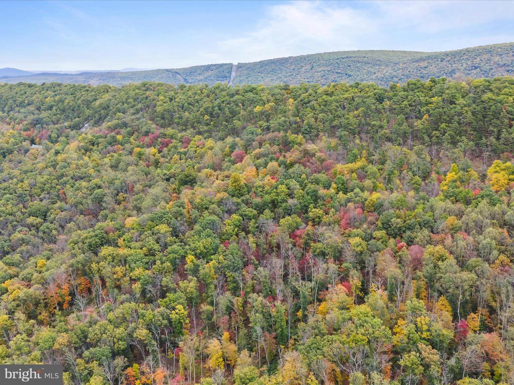 2083 CLAY PITS LANE