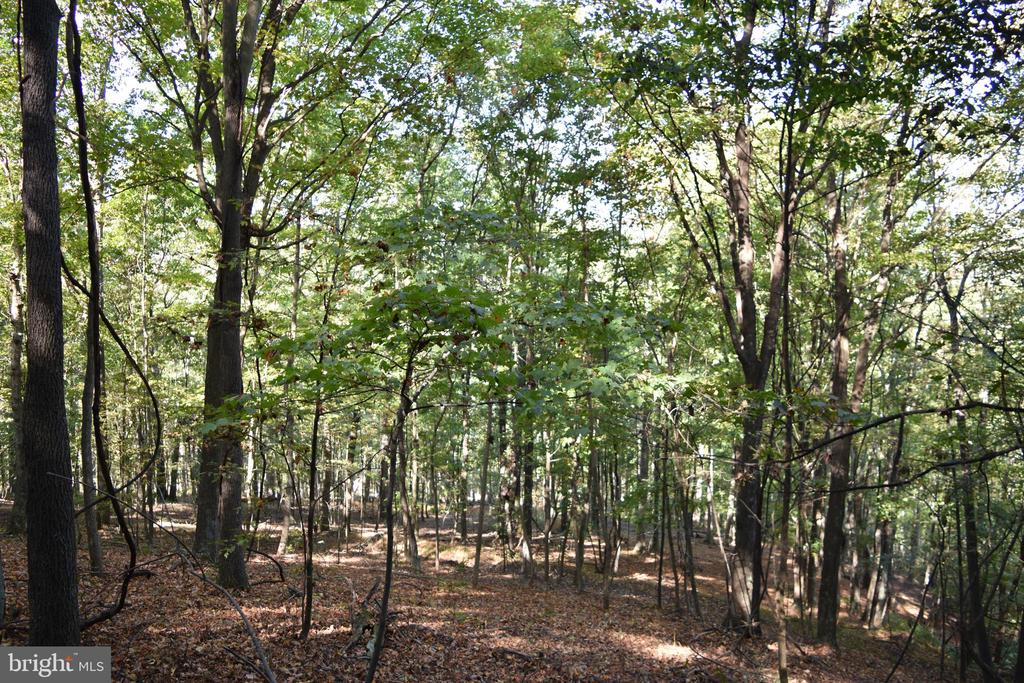 2083 CLAY PITS LANE