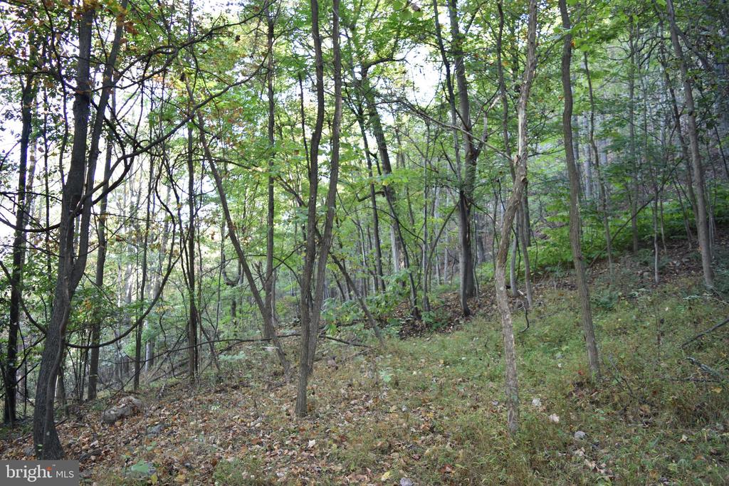 2083 CLAY PITS LANE