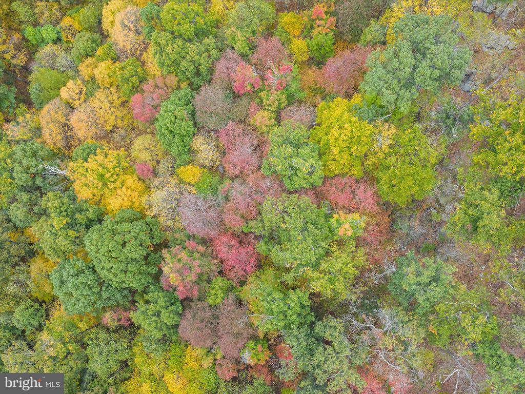 2083 CLAY PITS LANE