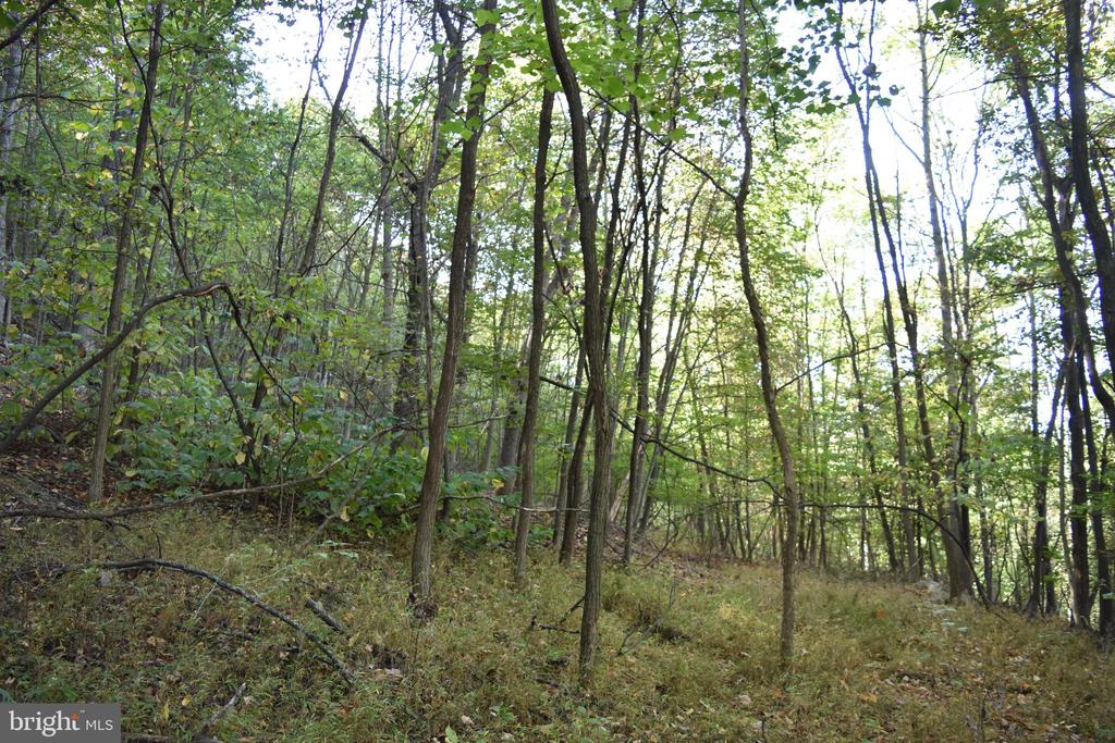 2083 CLAY PITS LANE