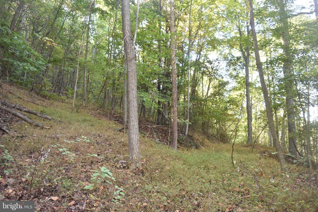 2083 CLAY PITS LANE