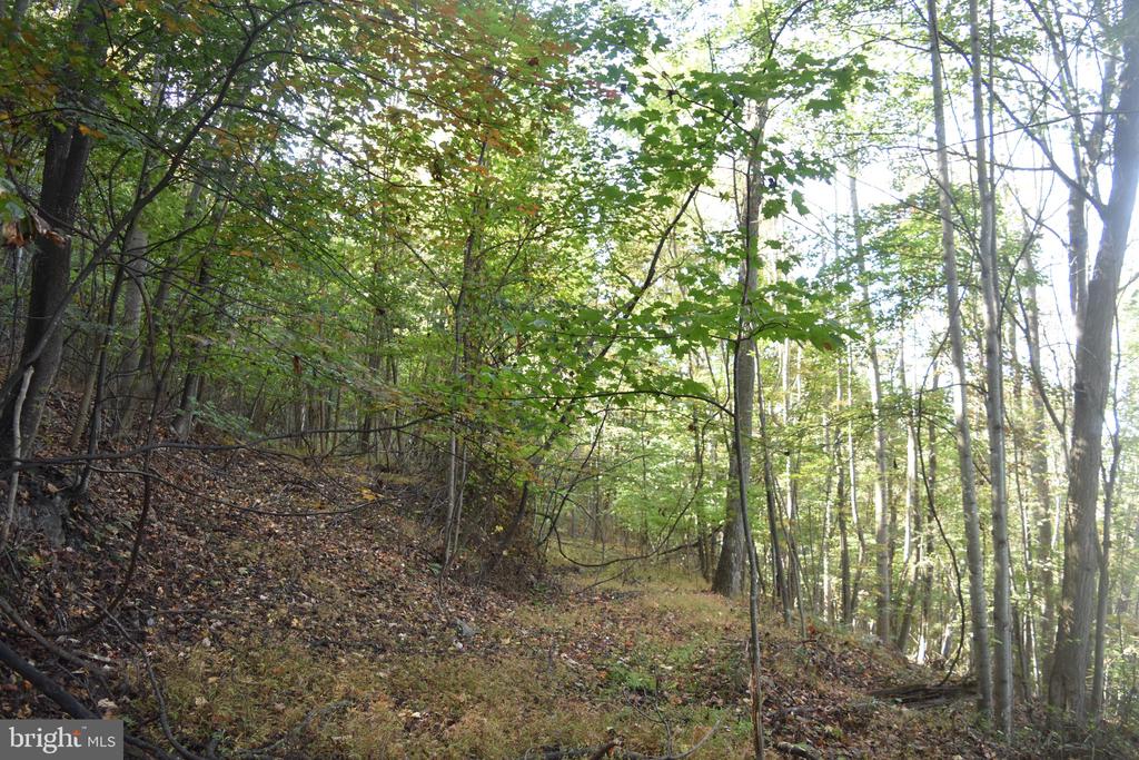 2083 CLAY PITS LANE