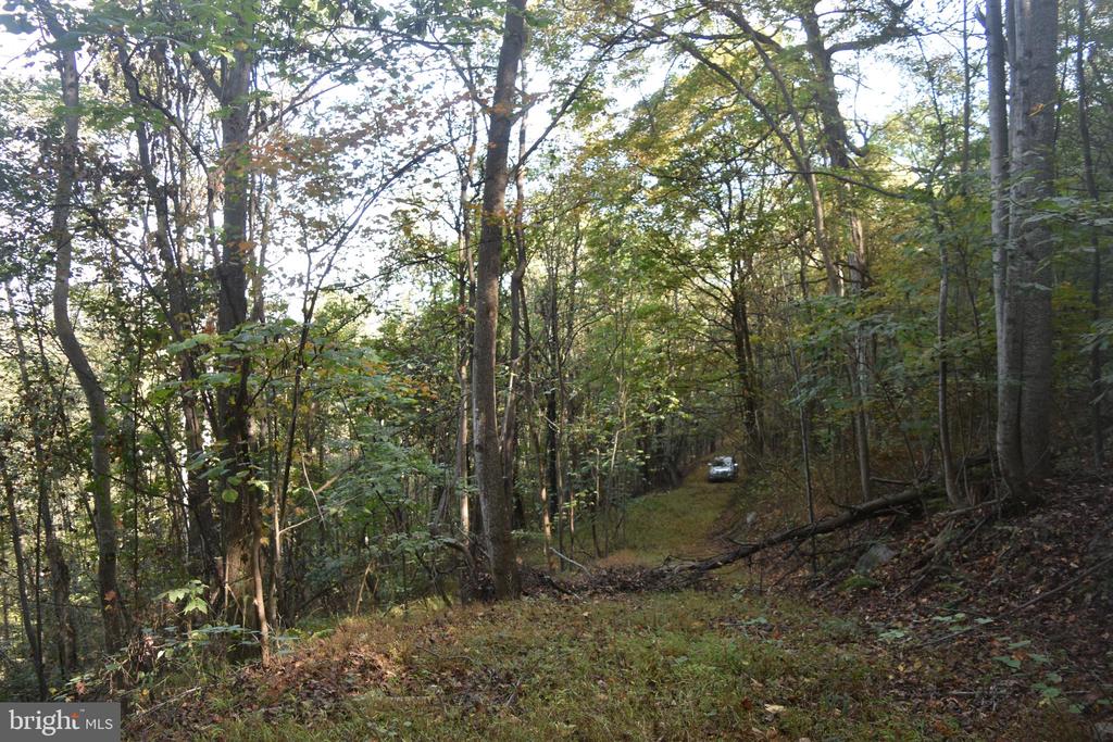 2083 CLAY PITS LANE