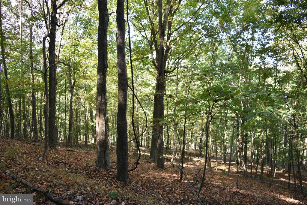 2083 CLAY PITS LANE