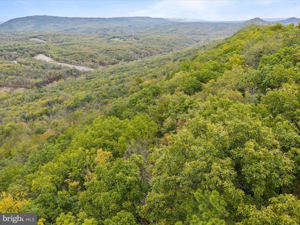 2083 CLAY PITS LANE