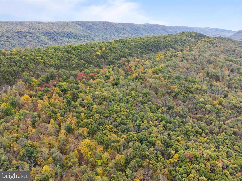 2083 CLAY PITS LANE