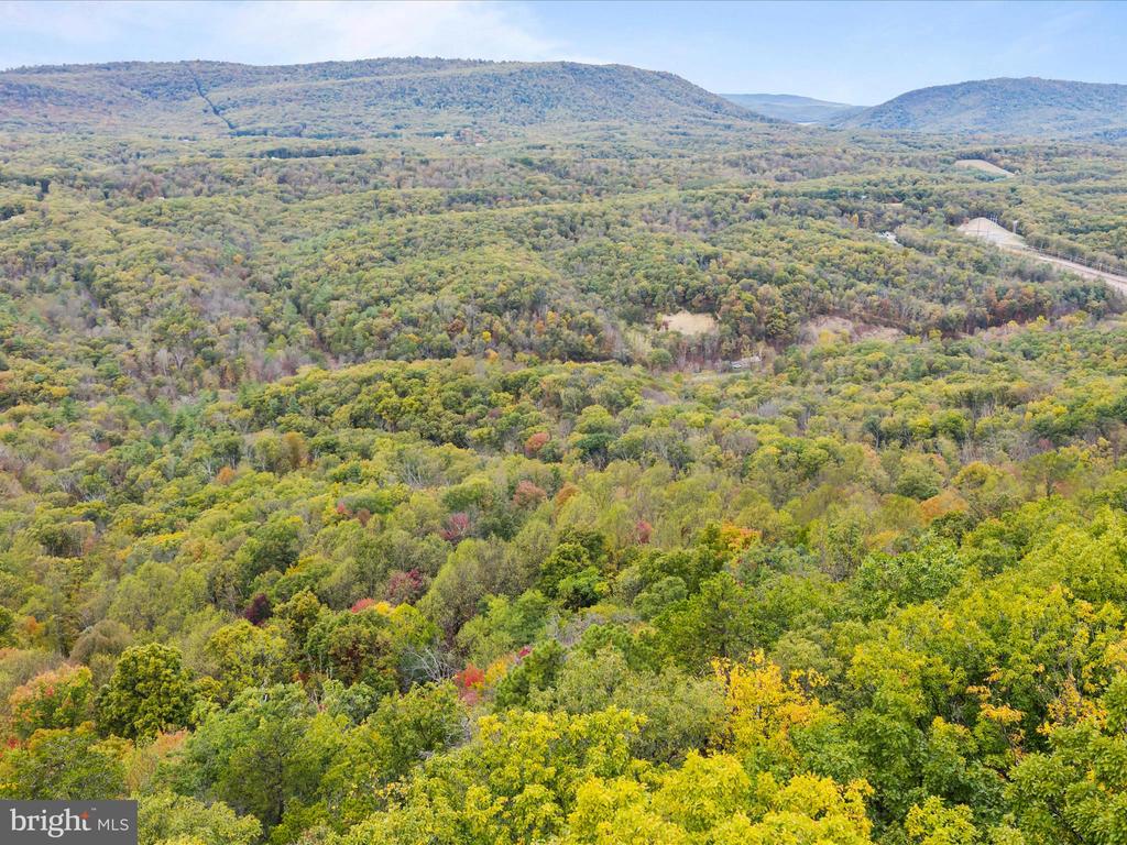 2083 CLAY PITS LANE