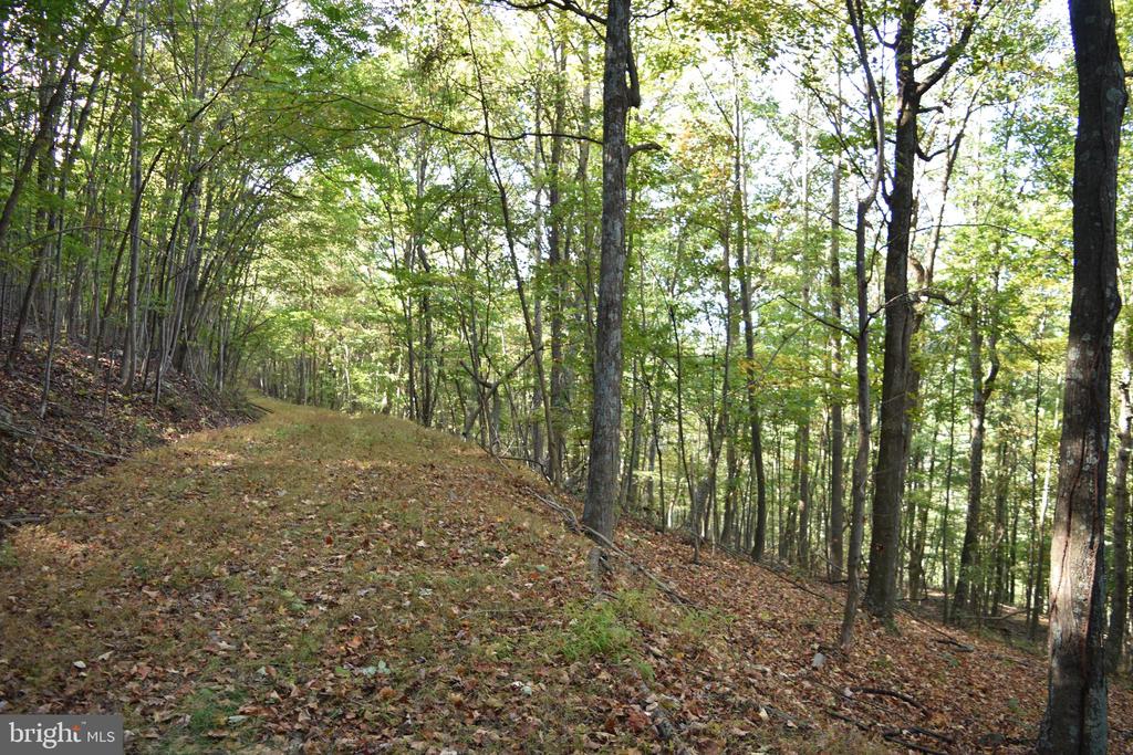 2083 CLAY PITS LANE