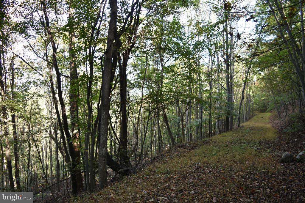 2083 CLAY PITS LANE