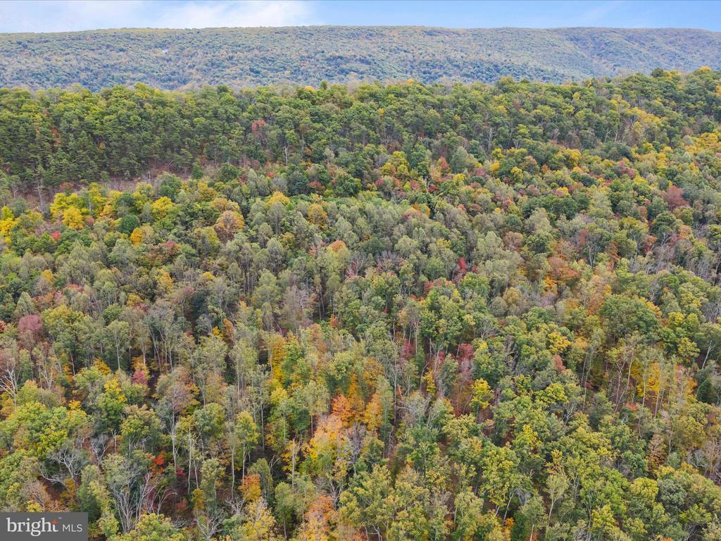 2083 CLAY PITS LANE