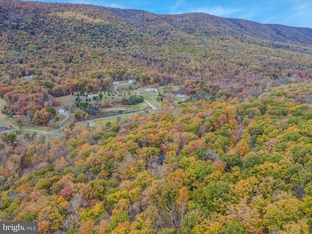 367 DOMINION TRAIL