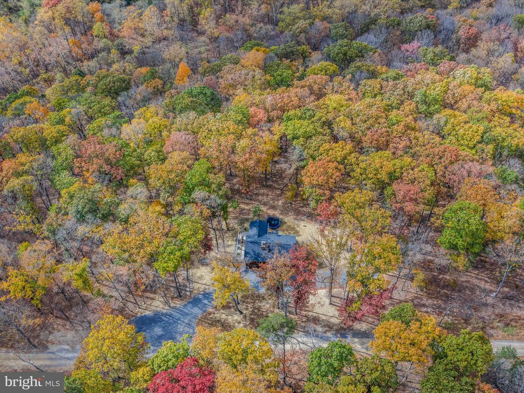 367 DOMINION TRAIL