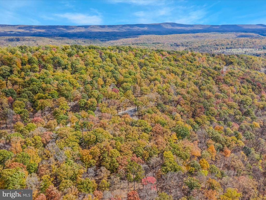 367 DOMINION TRAIL