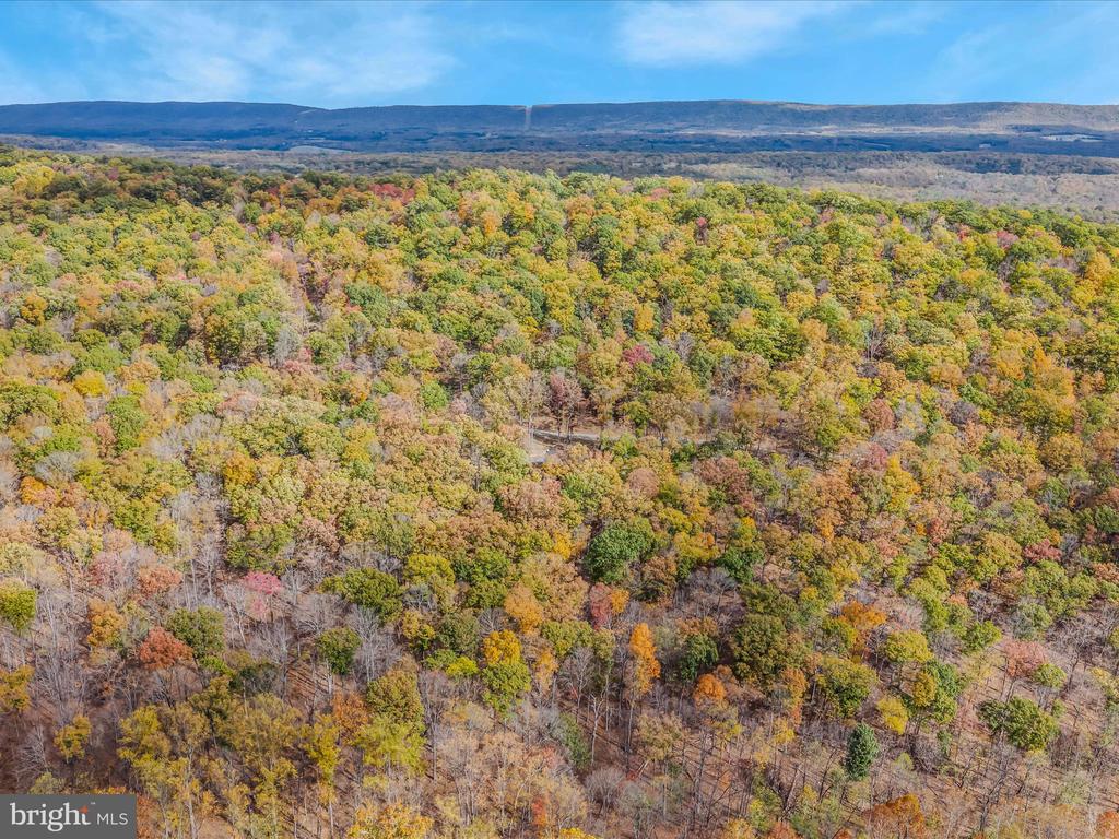 367 DOMINION TRAIL