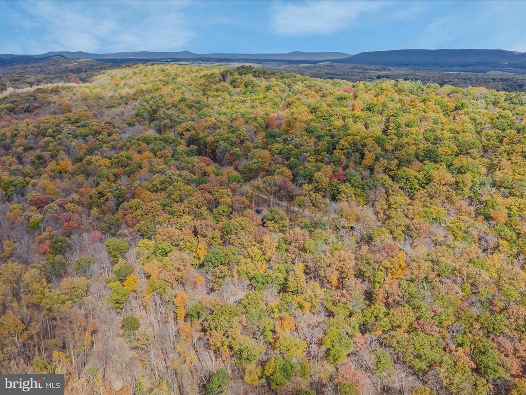 367 DOMINION TRAIL