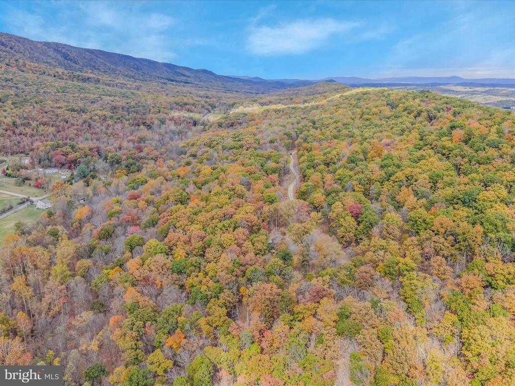 367 DOMINION TRAIL