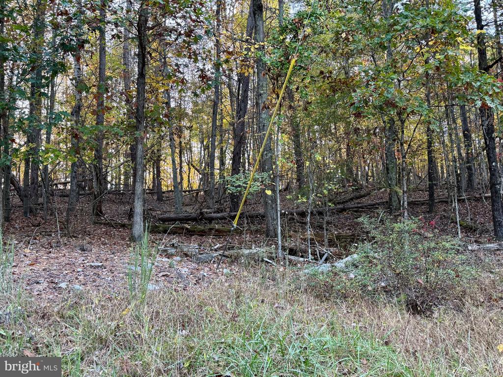 WHITETAIL DRIVE LOT 33