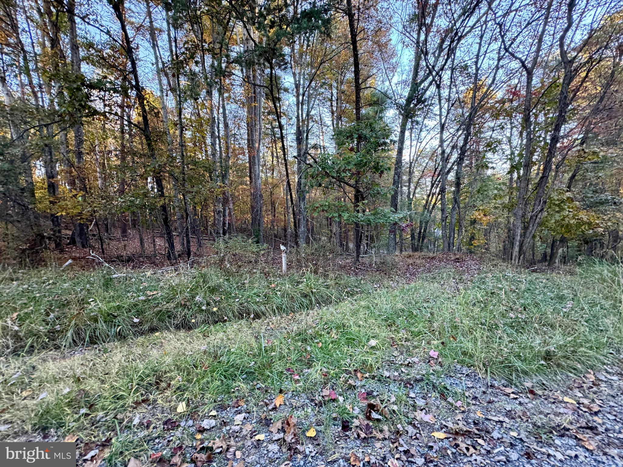 WHITETAIL DRIVE LOT 33