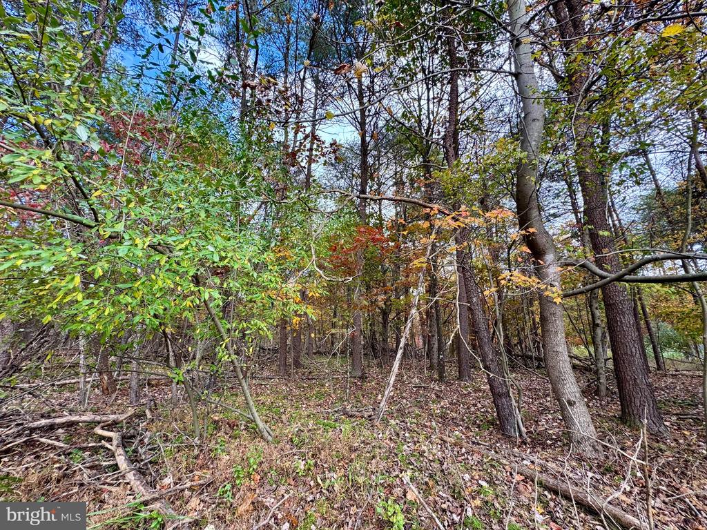 WHITETAIL DRIVE LOT 33