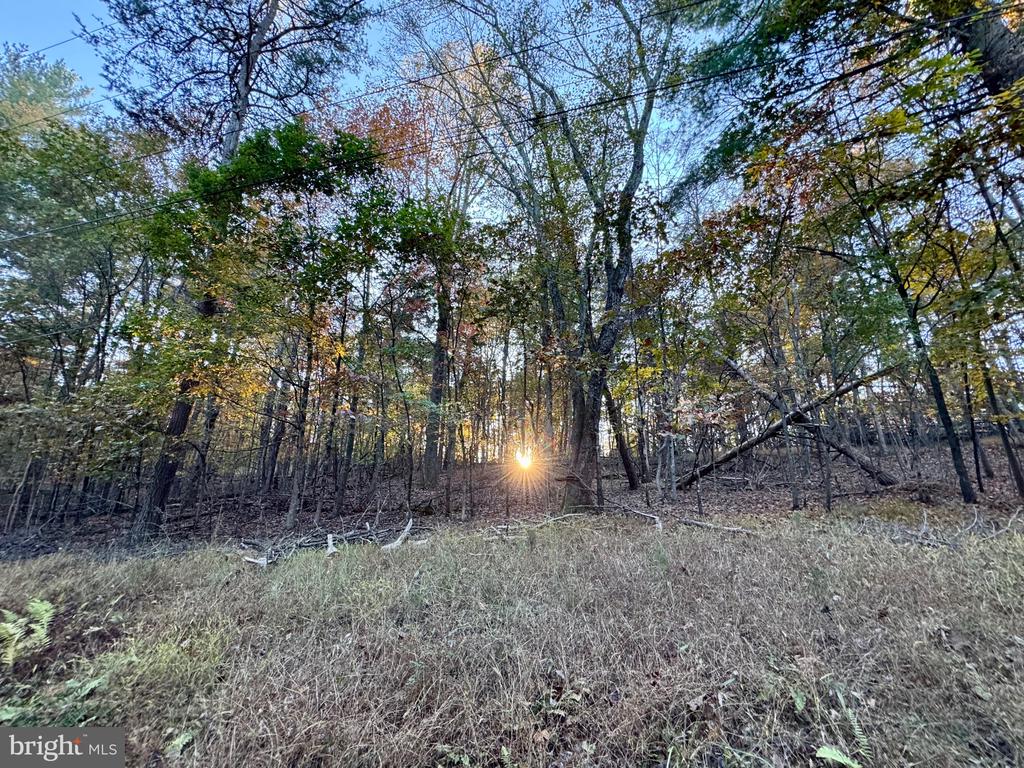 WHITETAIL DRIVE LOT 33
