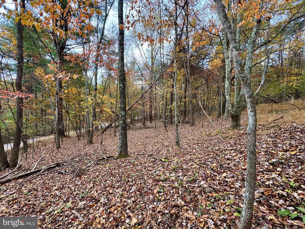 WHITETAIL DRIVE LOT 33