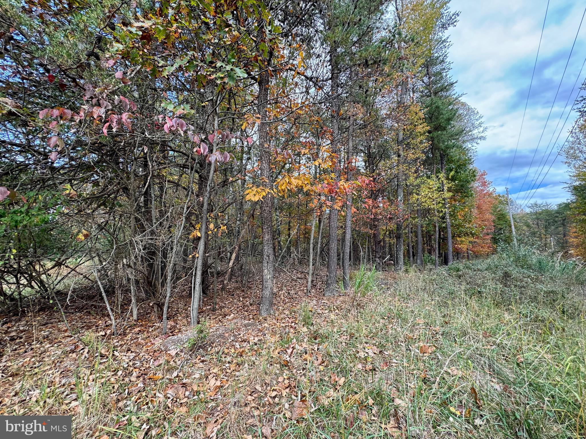 WHITETAIL DRIVE LOT 33