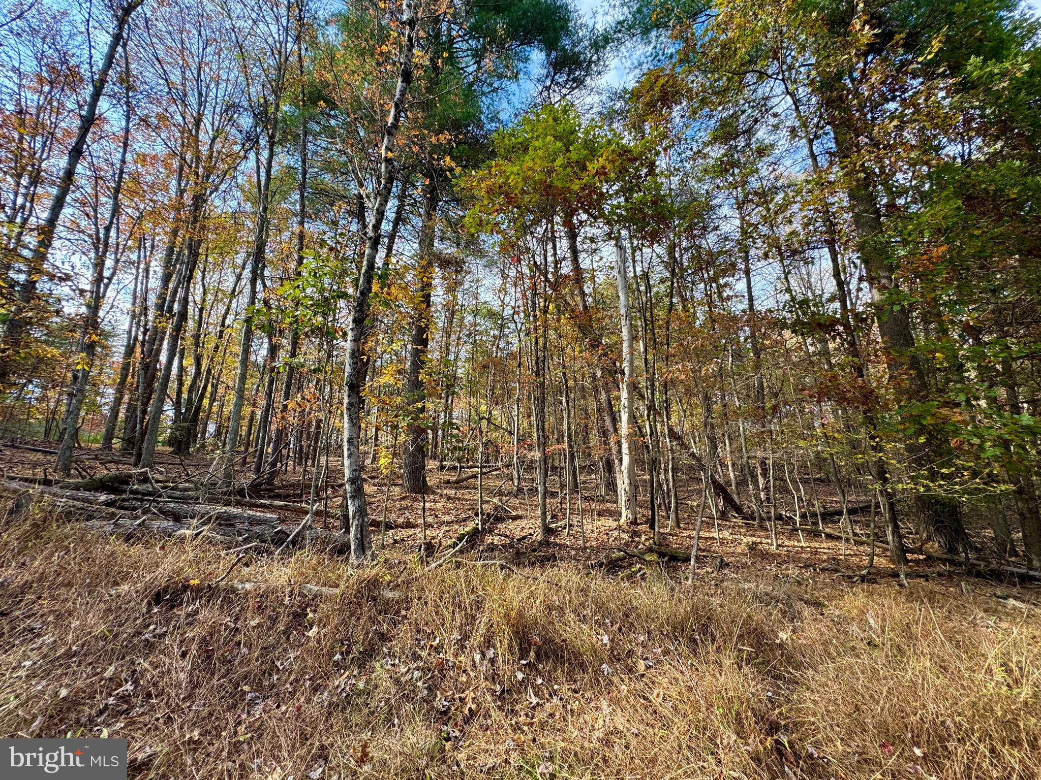 WHITETAIL DRIVE LOT 33