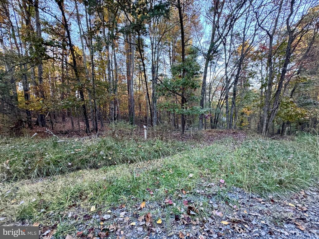 WHITETAIL DRIVE LOT 33