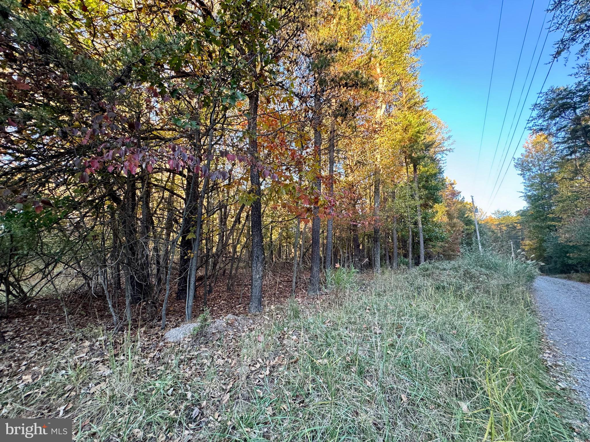 WHITETAIL DRIVE LOT 33