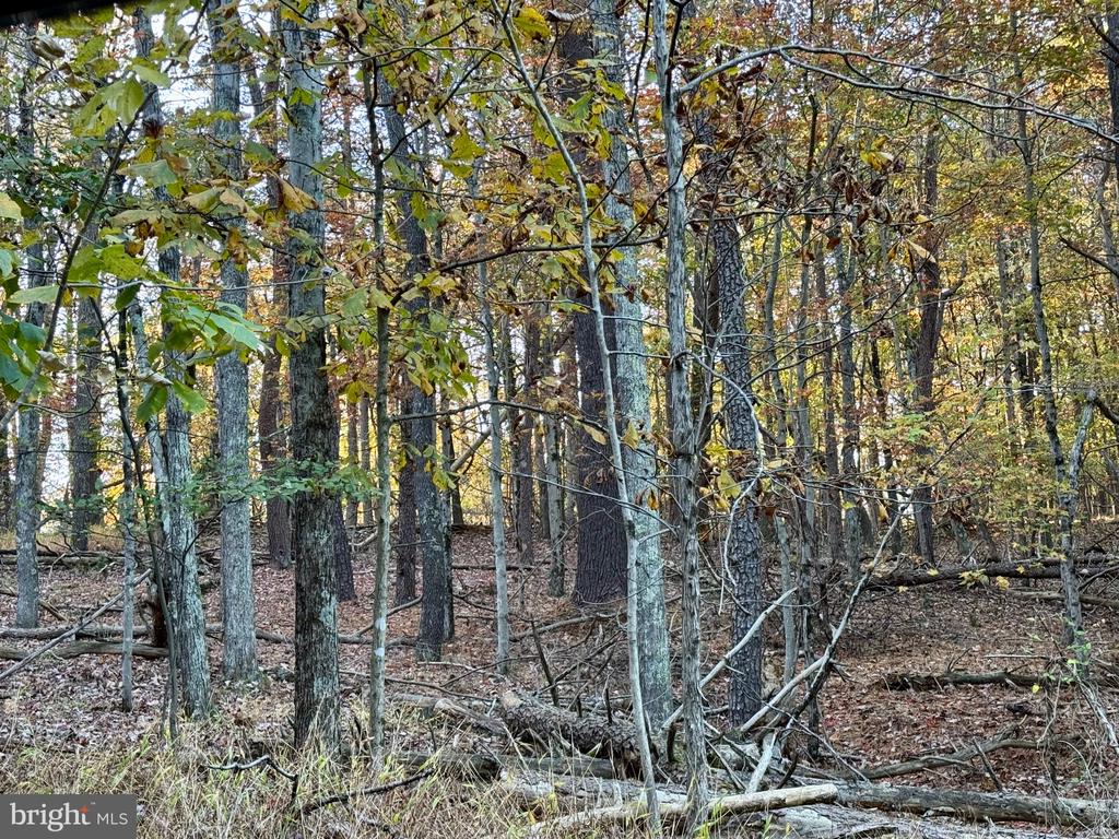 WHITETAIL DRIVE LOT 33