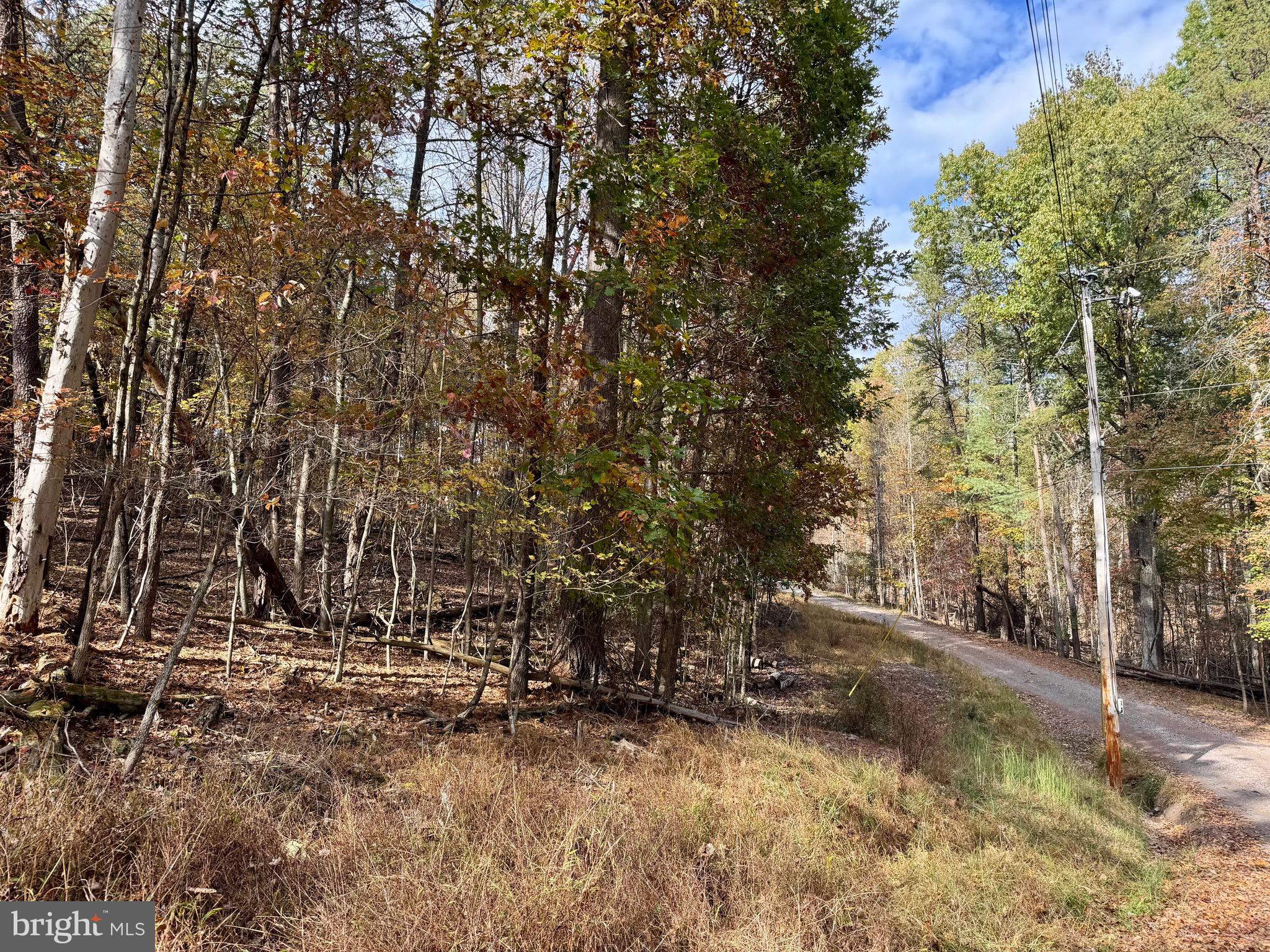 WHITETAIL DRIVE LOT 33