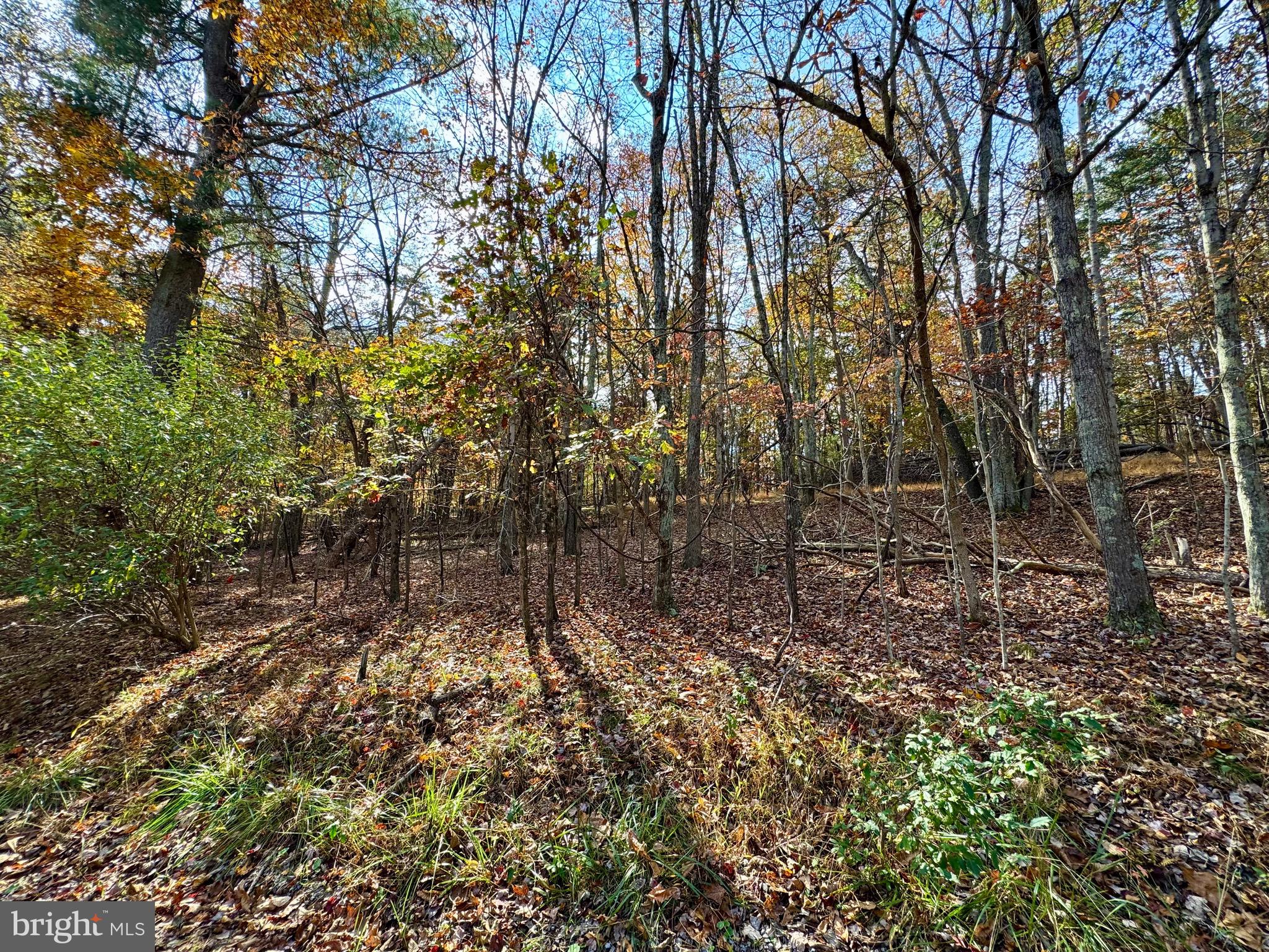 WHITETAIL DRIVE LOT 33