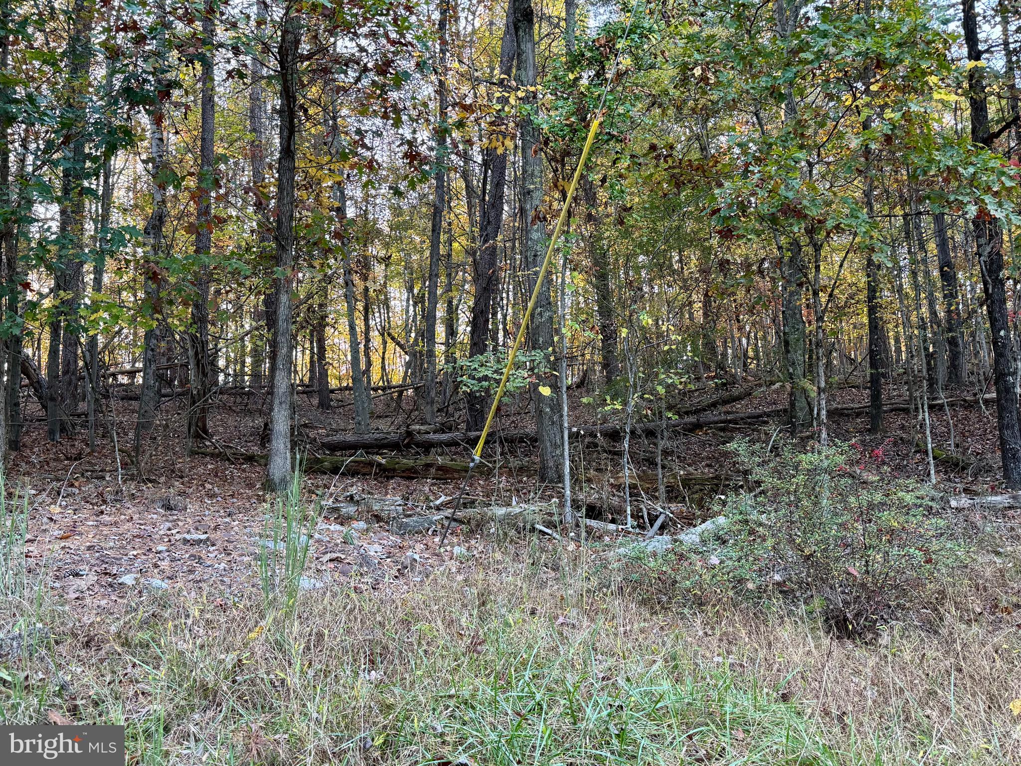 WHITETAIL DRIVE LOT 33