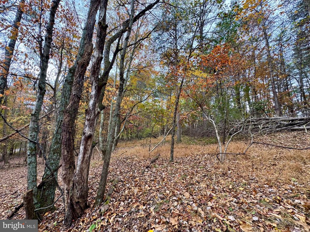 WHITETAIL DRIVE LOT 33