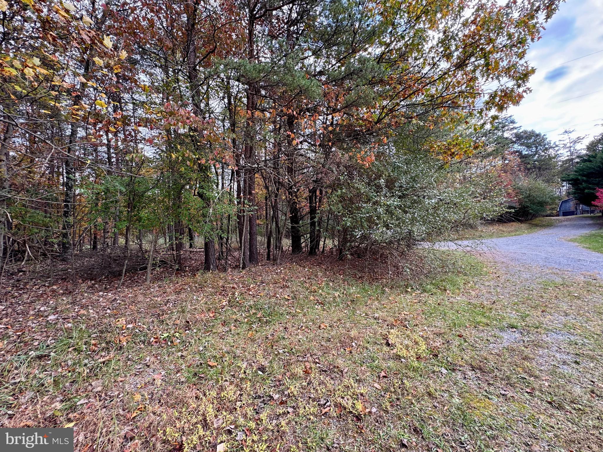 WHITETAIL DRIVE LOT 33