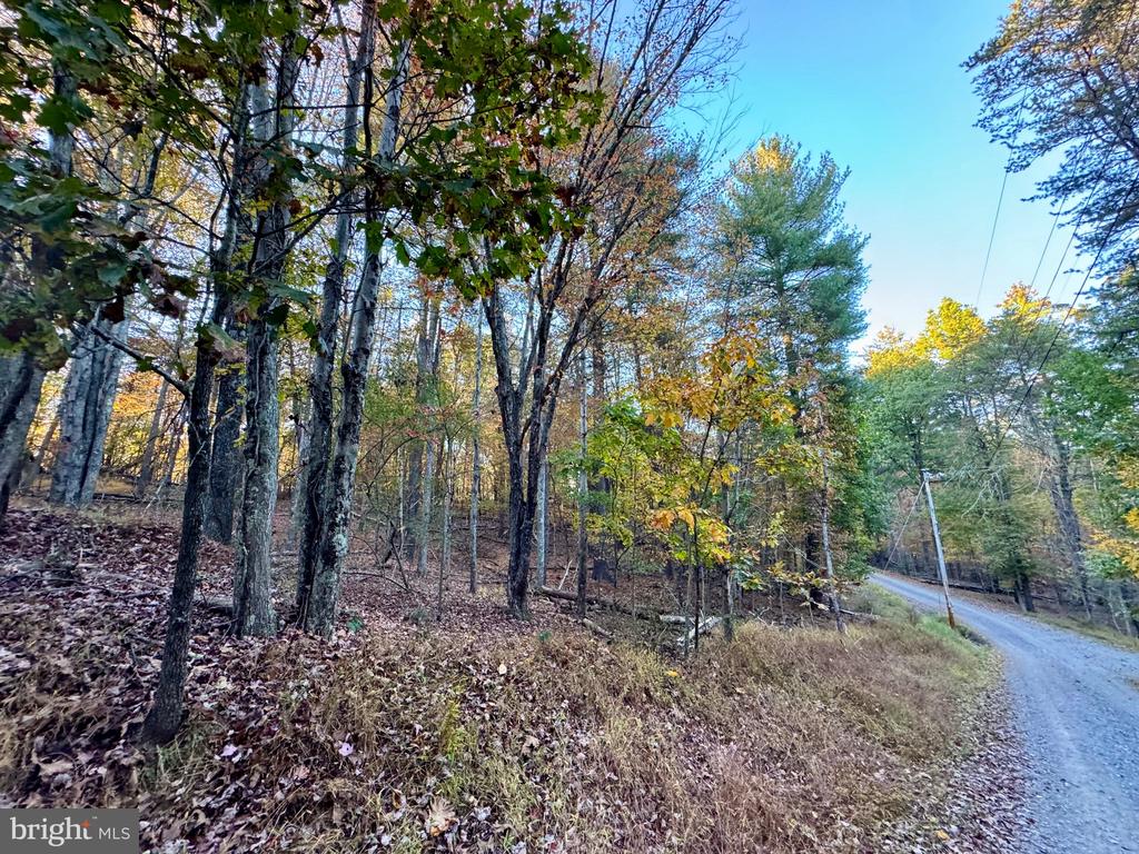 WHITETAIL DRIVE LOT 33