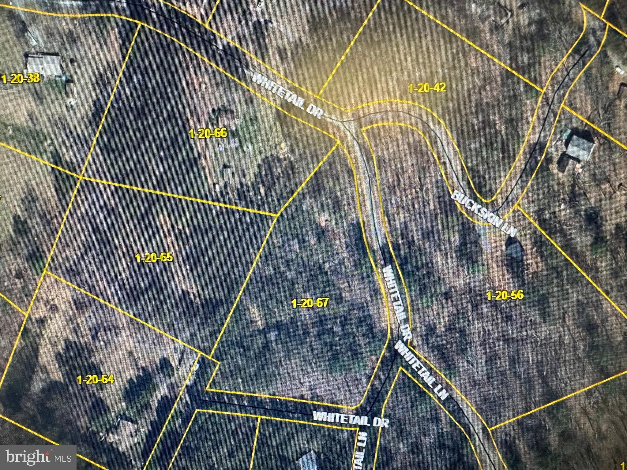 WHITETAIL DRIVE LOT 33