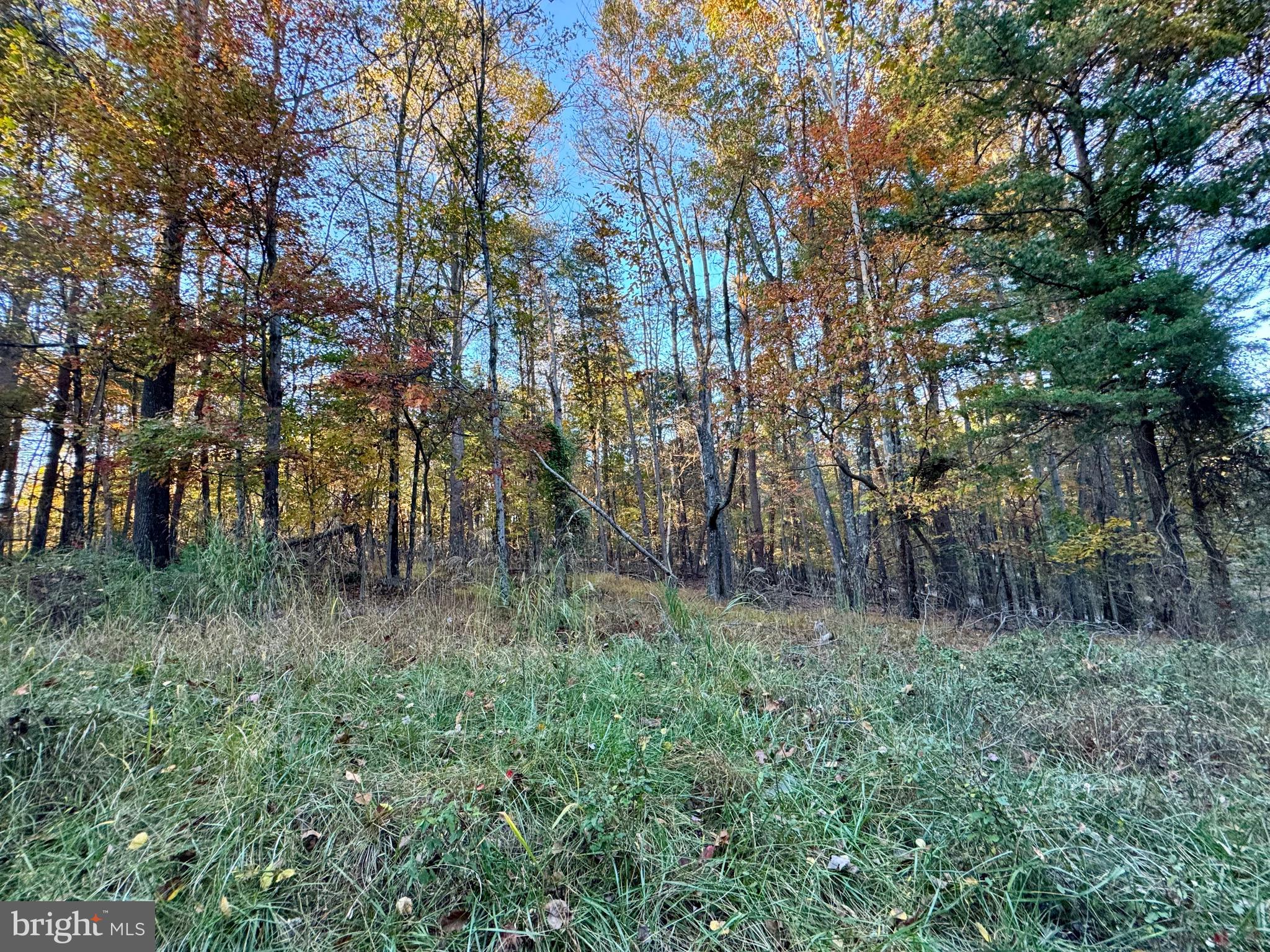 WHITETAIL DRIVE LOT 33