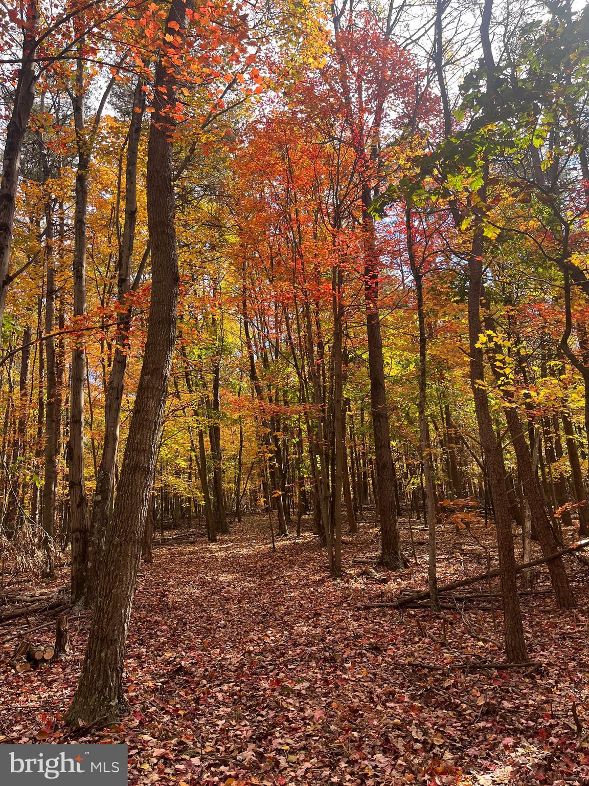 3041 PINE GROVE ROAD