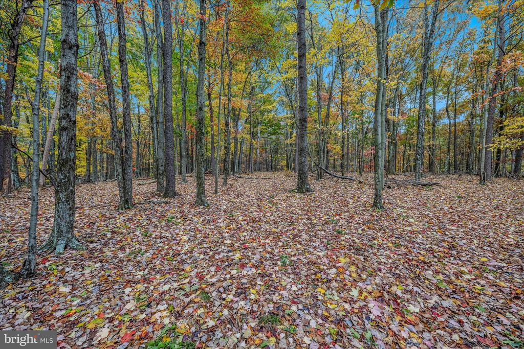 3041 PINE GROVE ROAD