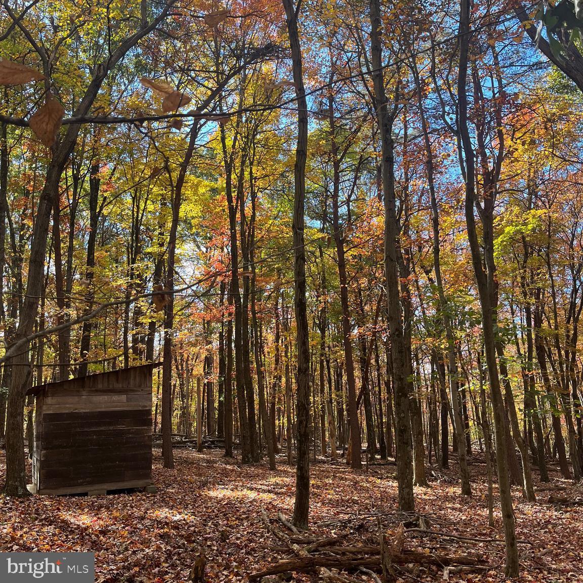 3041 PINE GROVE ROAD