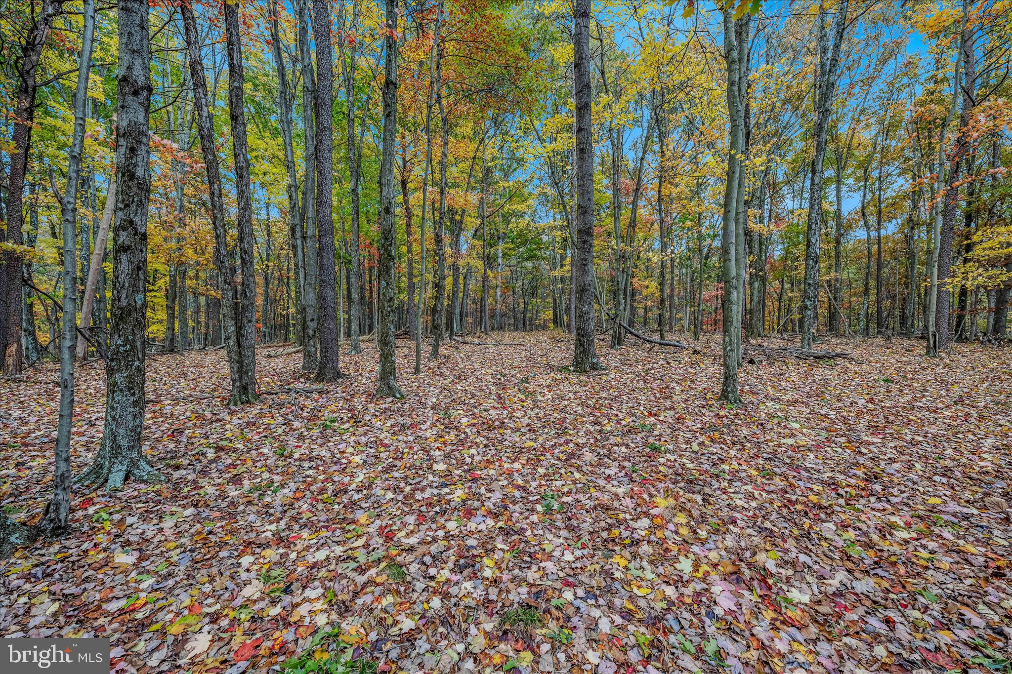 3041 PINE GROVE ROAD