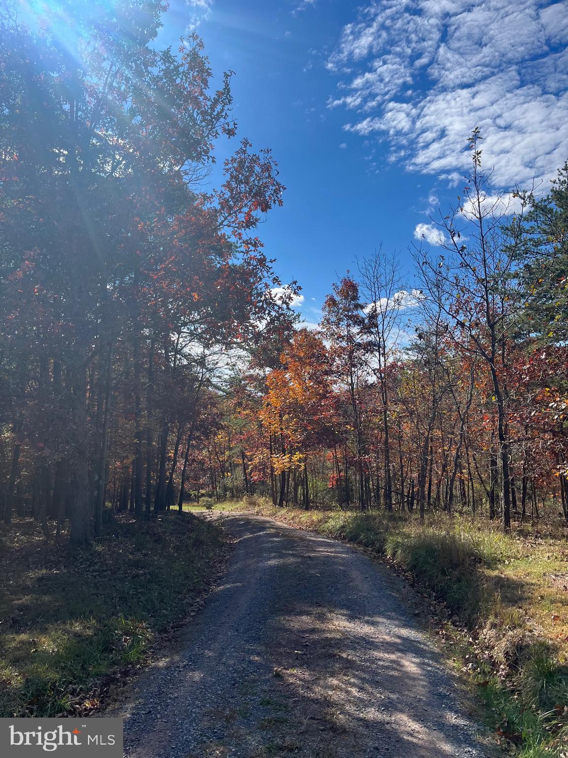 3041 PINE GROVE ROAD