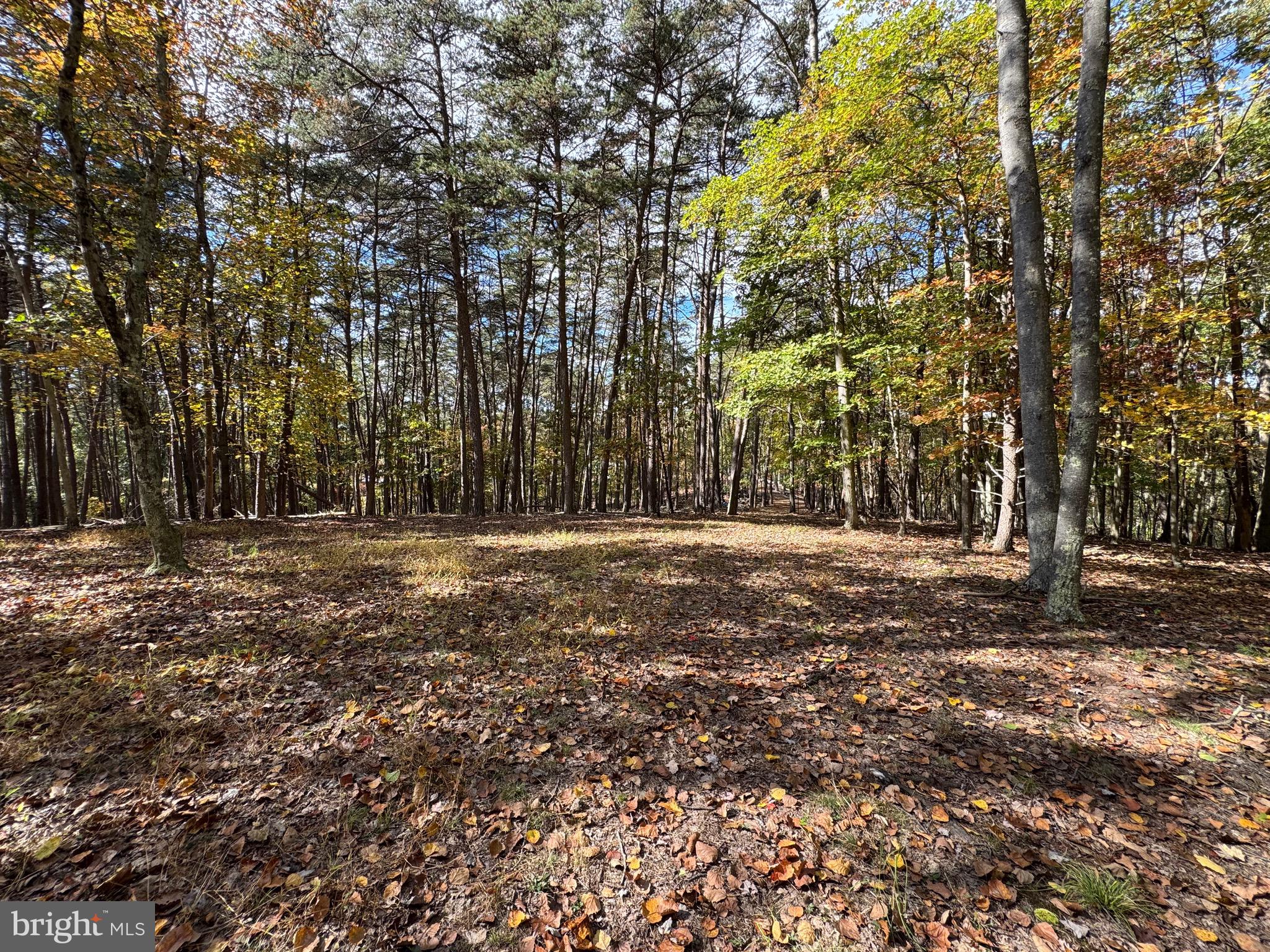 3041 PINE GROVE ROAD