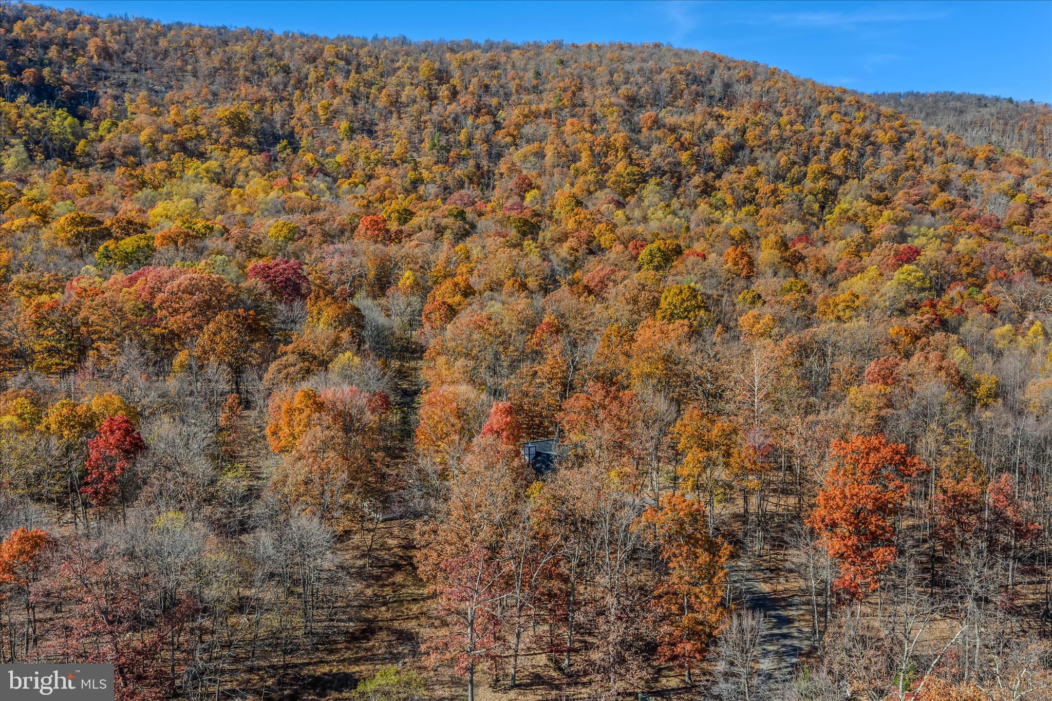 601 PARKSIDE TERRACE