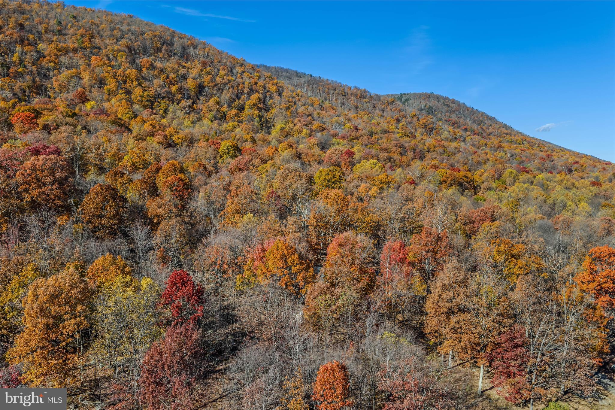 601 PARKSIDE TERRACE